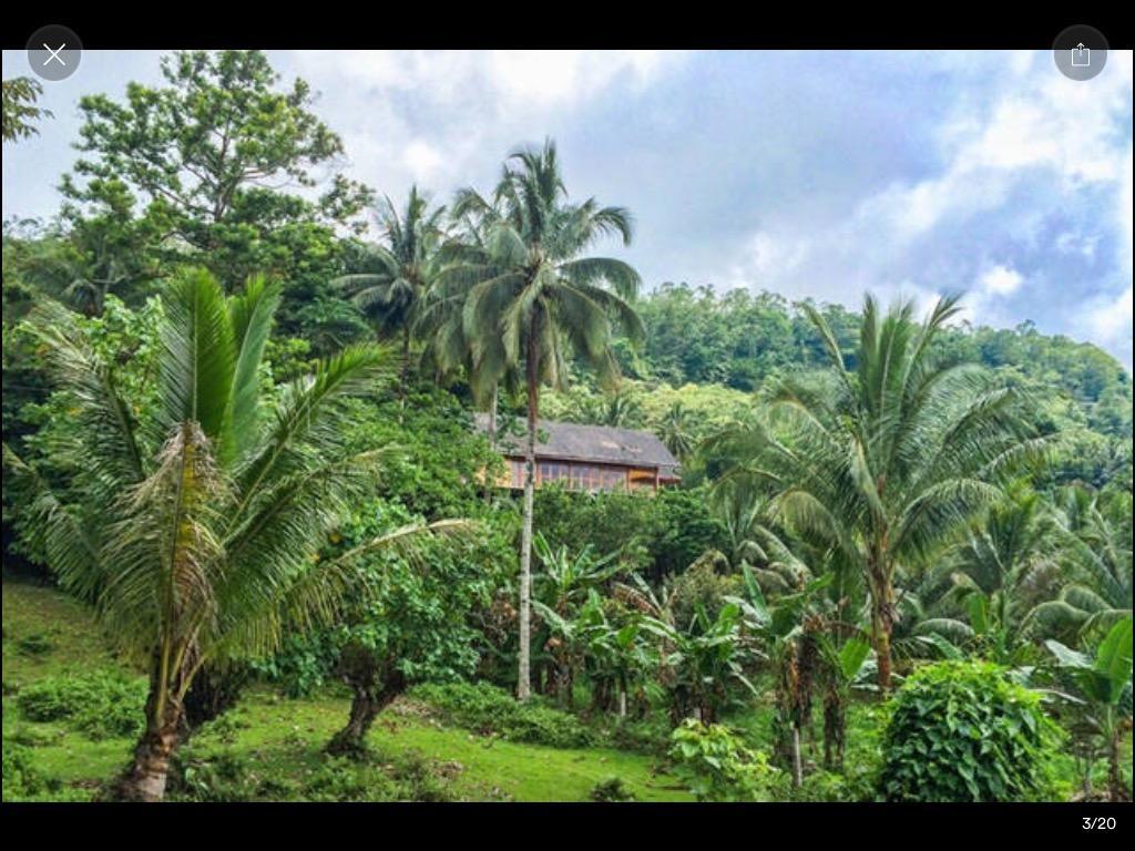 Camiguin Volcano Houses-Panoramic House มัมบาเฮา ภายนอก รูปภาพ